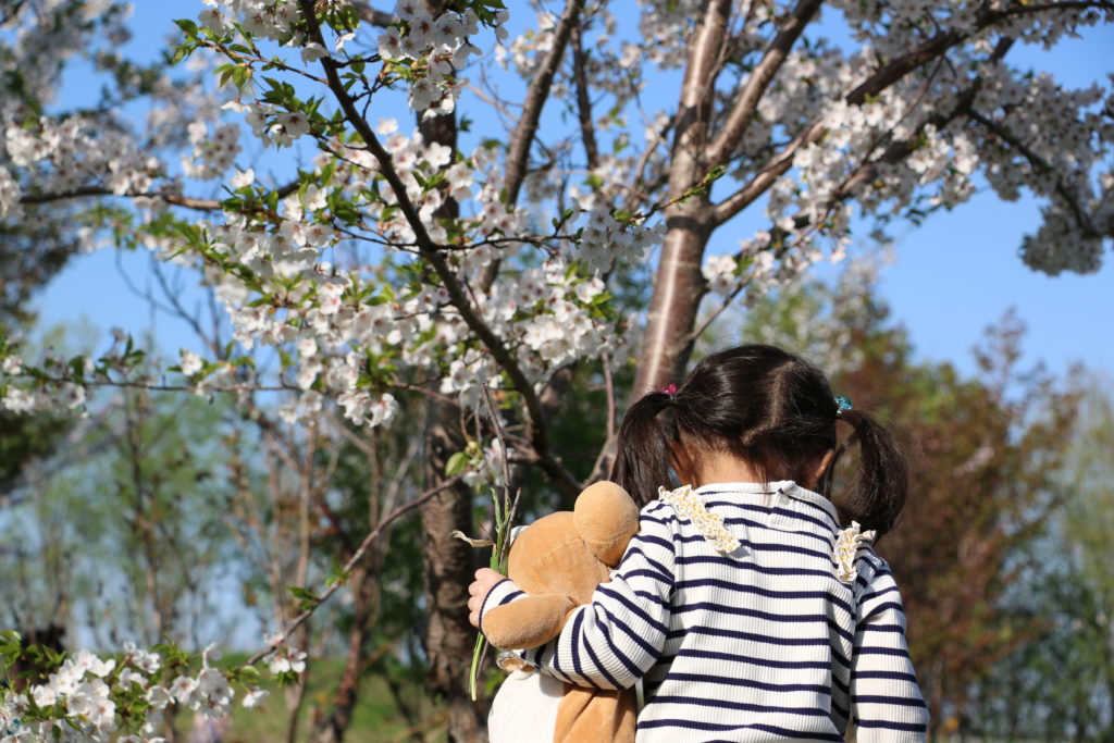 桜とリラックマと女の子