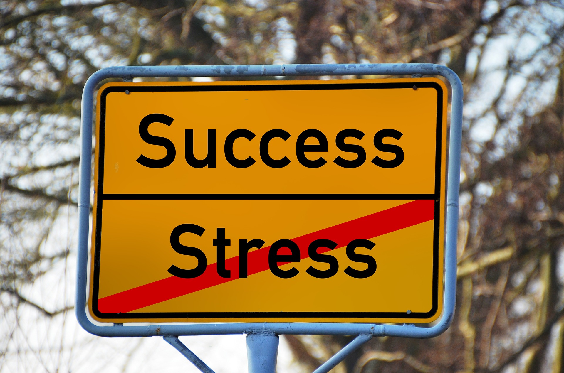 成功とストレス