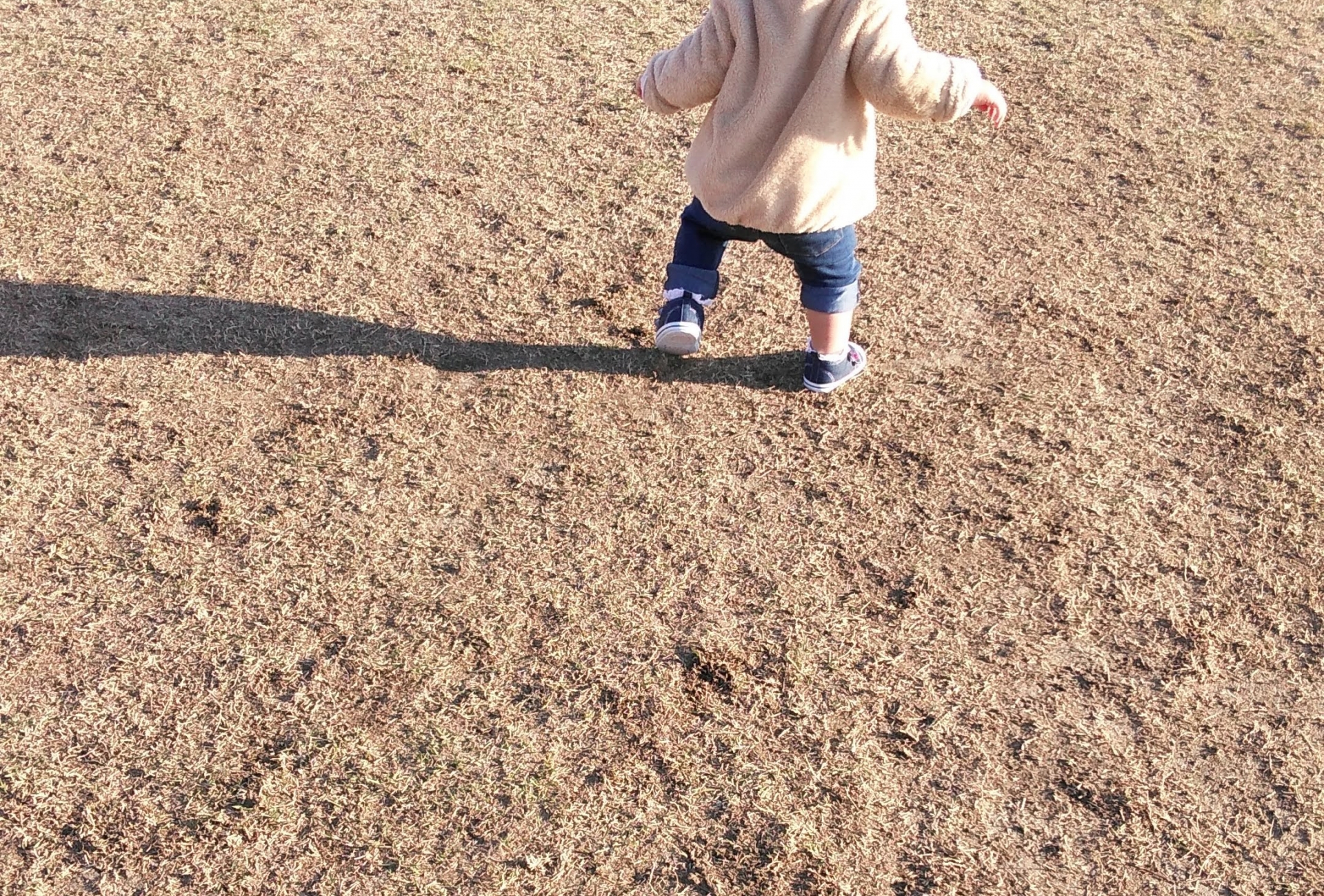 幼児の散歩